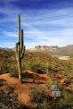 USA_AZ_Apache road02